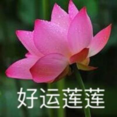 圣光纪元手机版(暂未上线)v1.0.0 安卓版